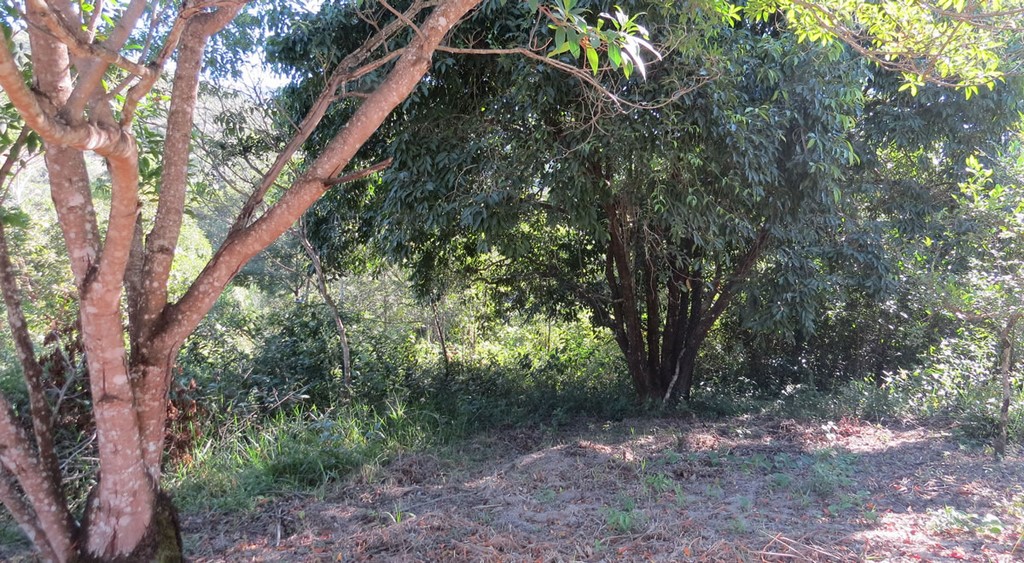 Ecovila do Sossego