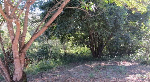 Ecovila do Sossego
